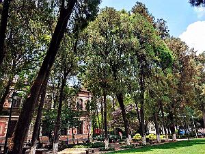 Kunming - Universite du Yunnan (31)